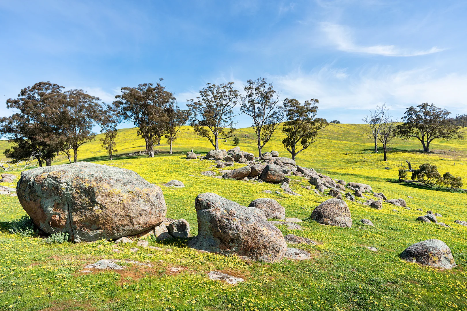 Additional image 21 of 225 Nuggetty Road, Maldon VIC 3463