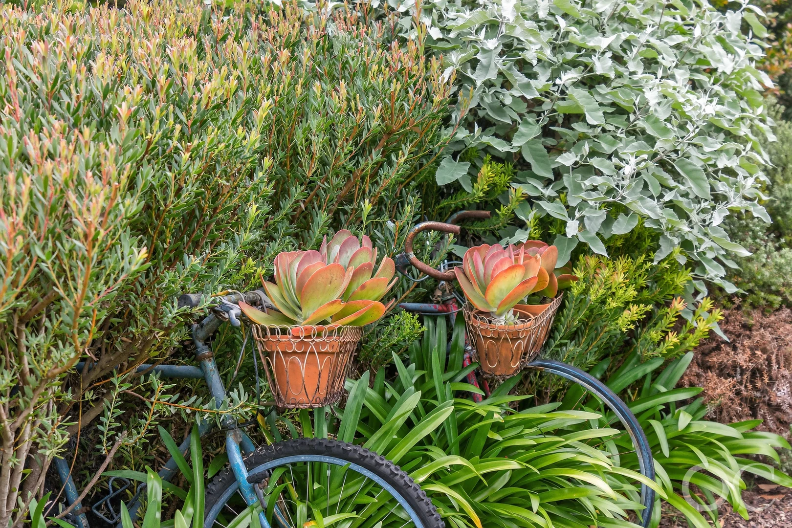 Additional image 28 of 62 Shepherd Avenue, Goolwa South SA 5214