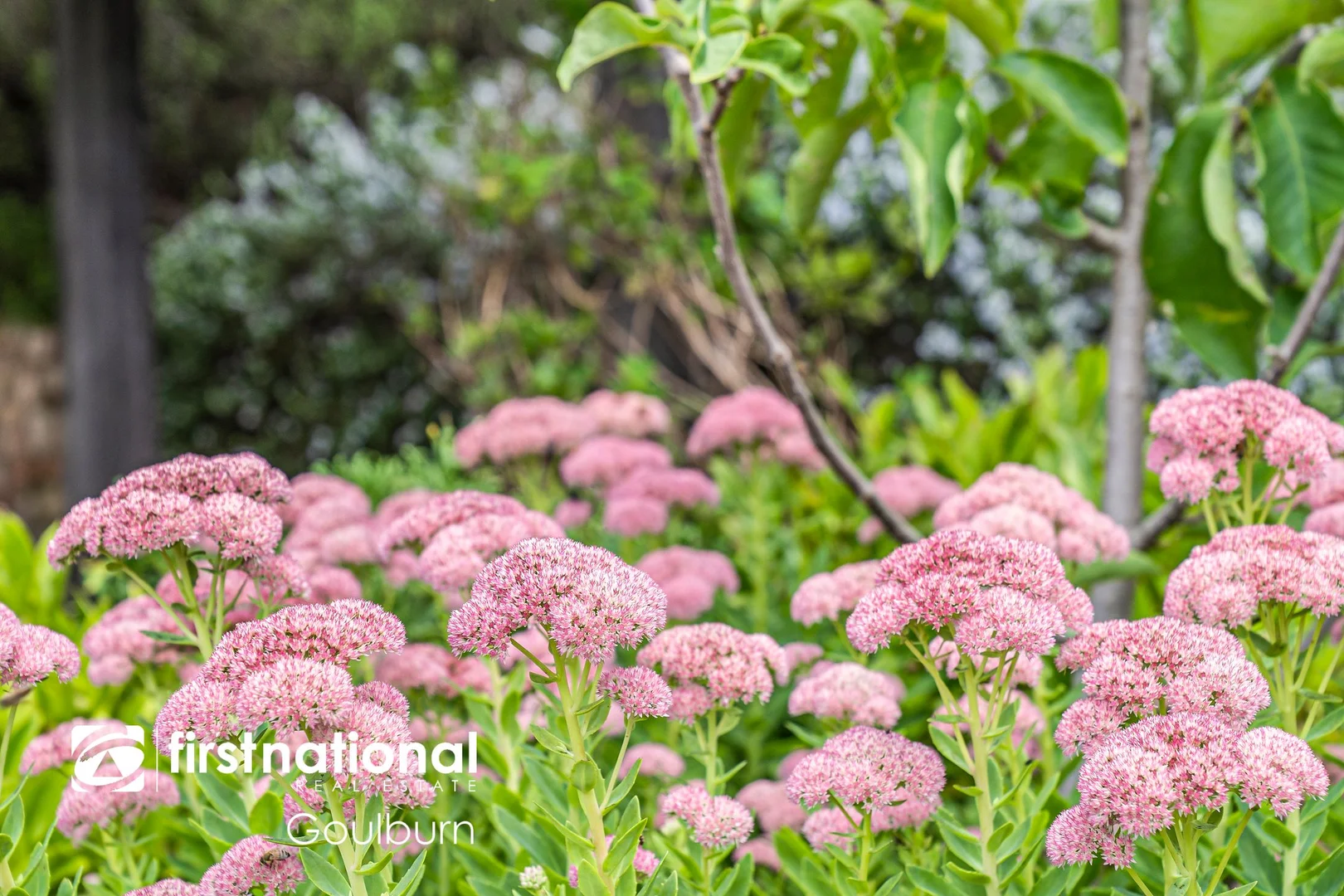 Additional image 27 of 88 Gorman Road, Goulburn NSW 2580