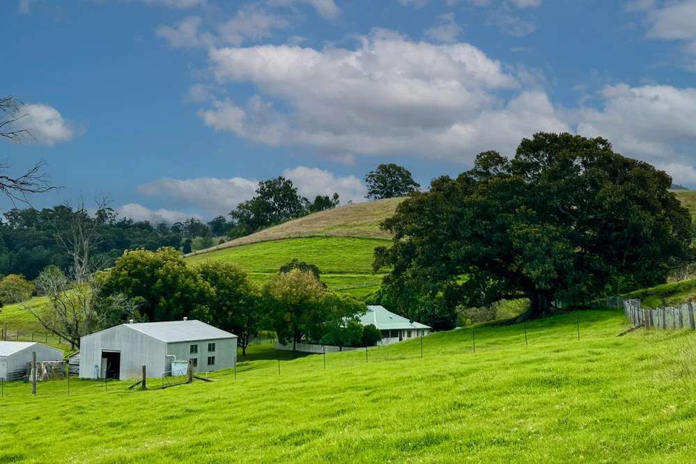 Additional image 2 of 1644 Paterson River Road, Lostock NSW 2311