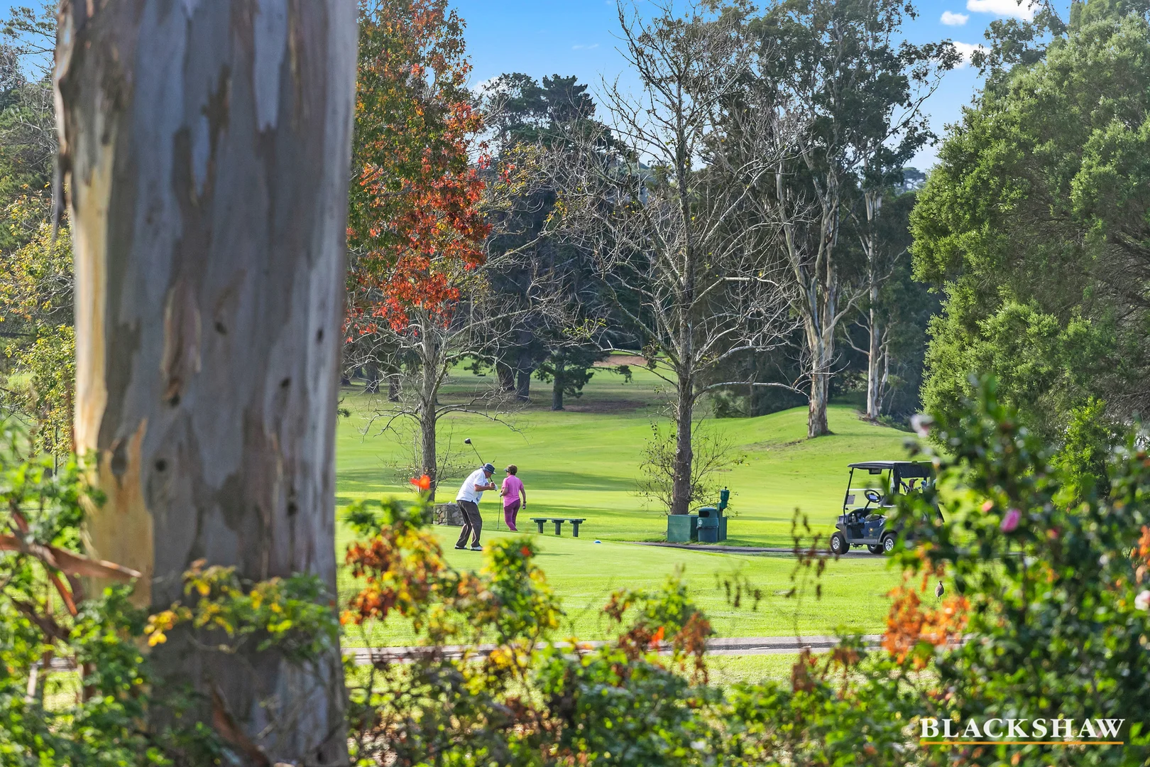 Additional image 29 of 10 Heron Road, Catalina NSW 2536