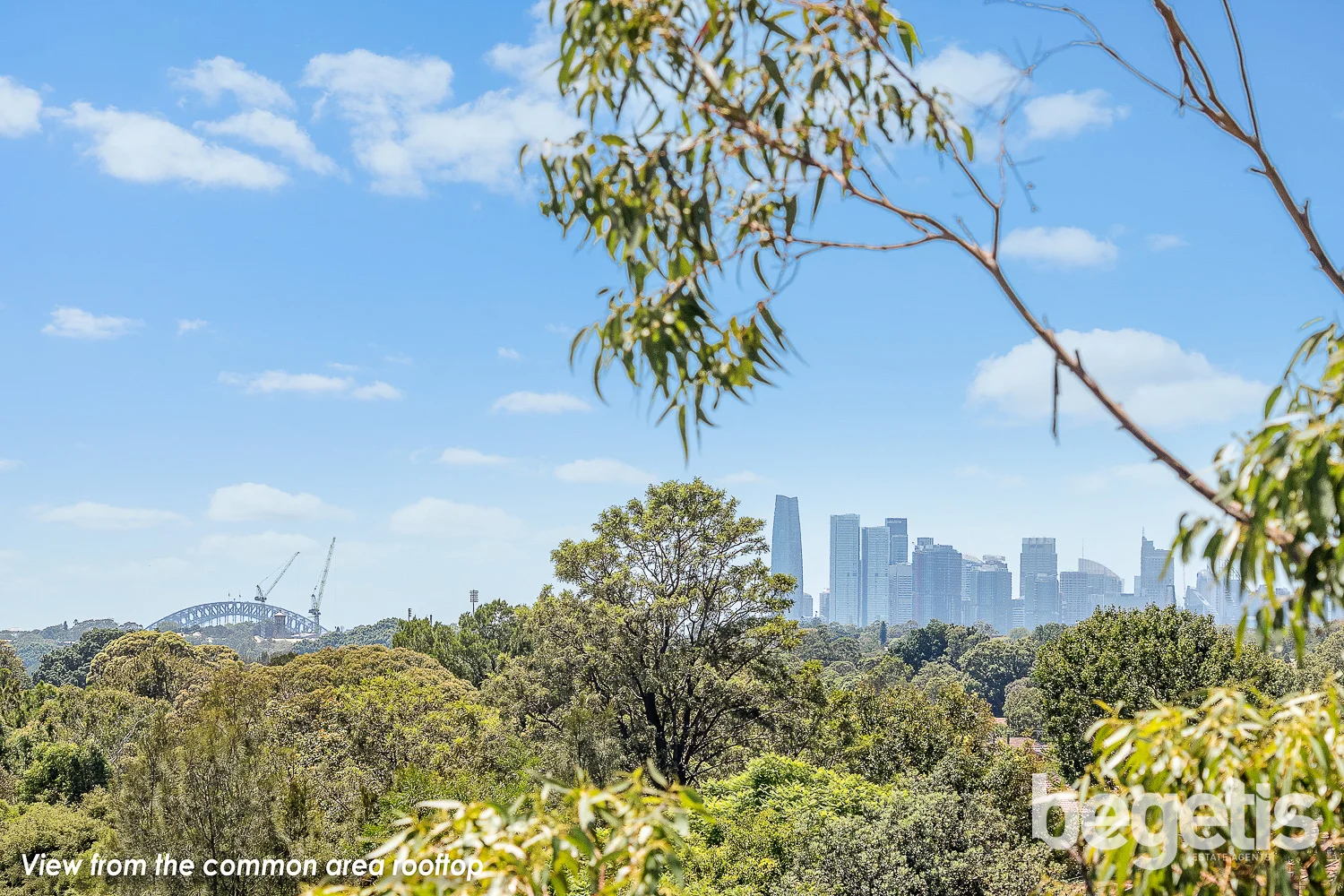 Additional image 9 of 35/12 West Street, Croydon NSW 2132