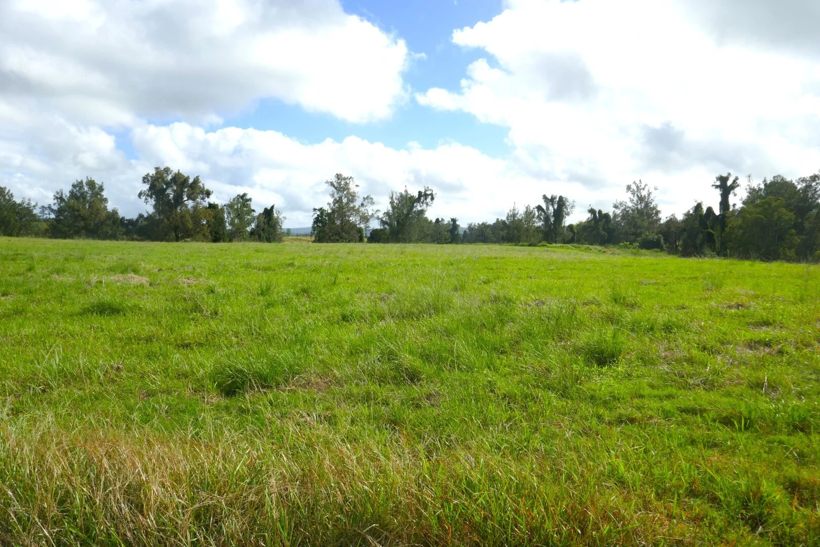 Additional image 12 of 495 Upper Stratheden Road, Kyogle NSW 2474