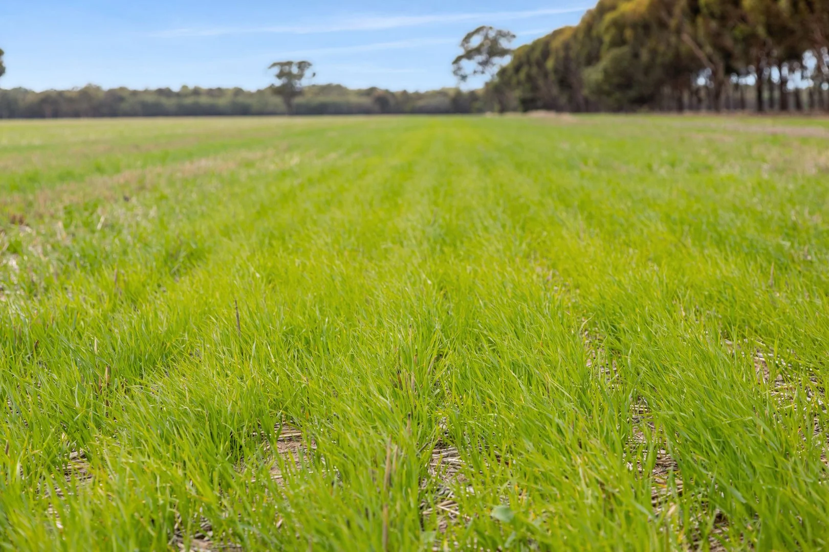 Additional image 13 of CA 57B Elmore-Minto Road, Elmore VIC 3558