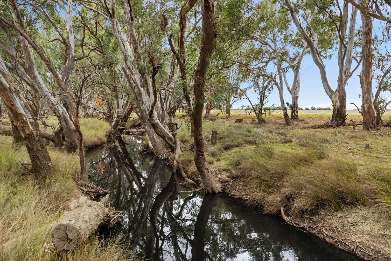 Additional image 11 of CA 57B Elmore-Minto Road, Elmore VIC 3558