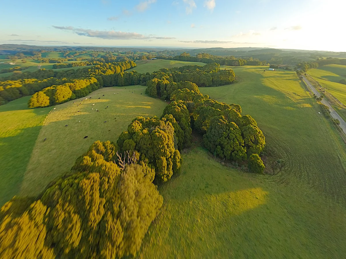 Additional image 14 of 125 Beech Forest - Lavers Hill Road, Beech Forest VIC 3237
