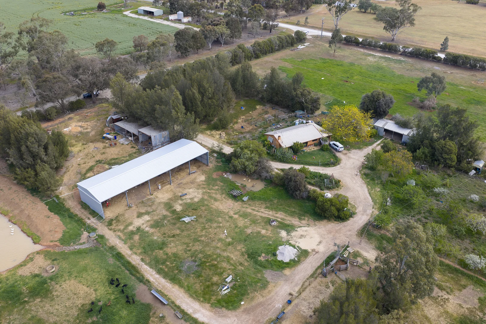 Additional image 7 of 603 Zegelin Road, Rushworth VIC 3612