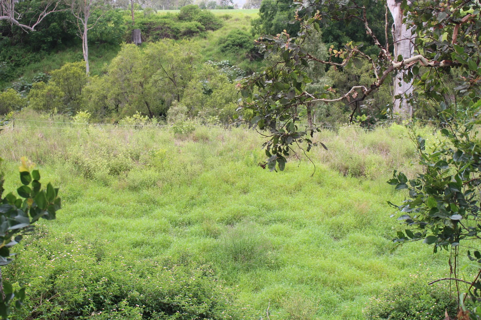 Additional image 13 of 70 Schimkes Lane, Clarendon QLD 4311