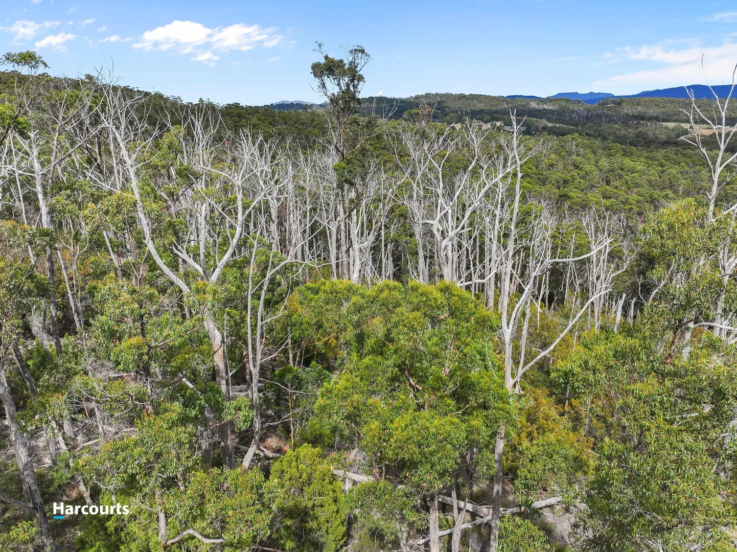 Additional image 13 of Lot 1 Slaters Road, Cradoc TAS 7109