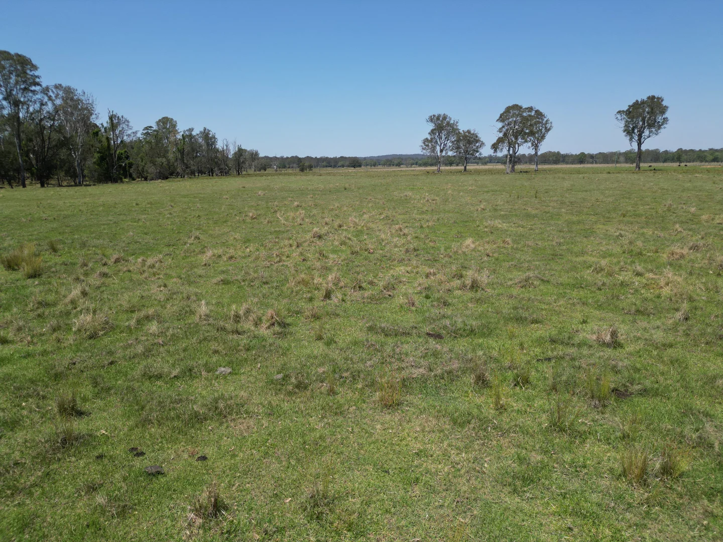 Additional image 11 of 140 Hogarth Range Road, Mongogarie NSW 2470