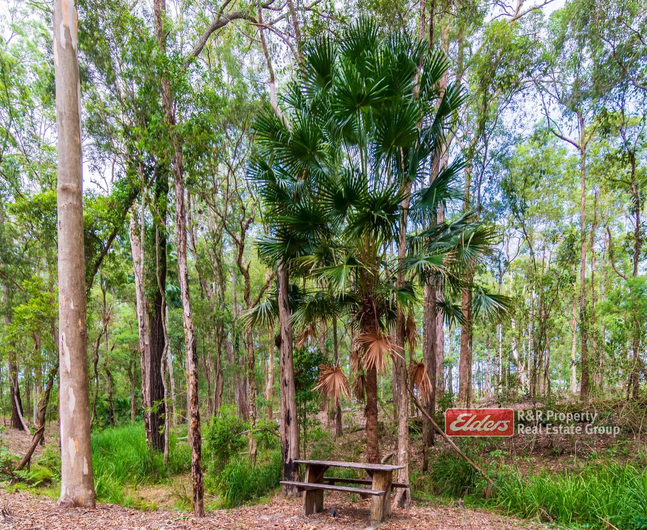 Additional image 21 of 647 Markwell Back Road, Markwell NSW 2423