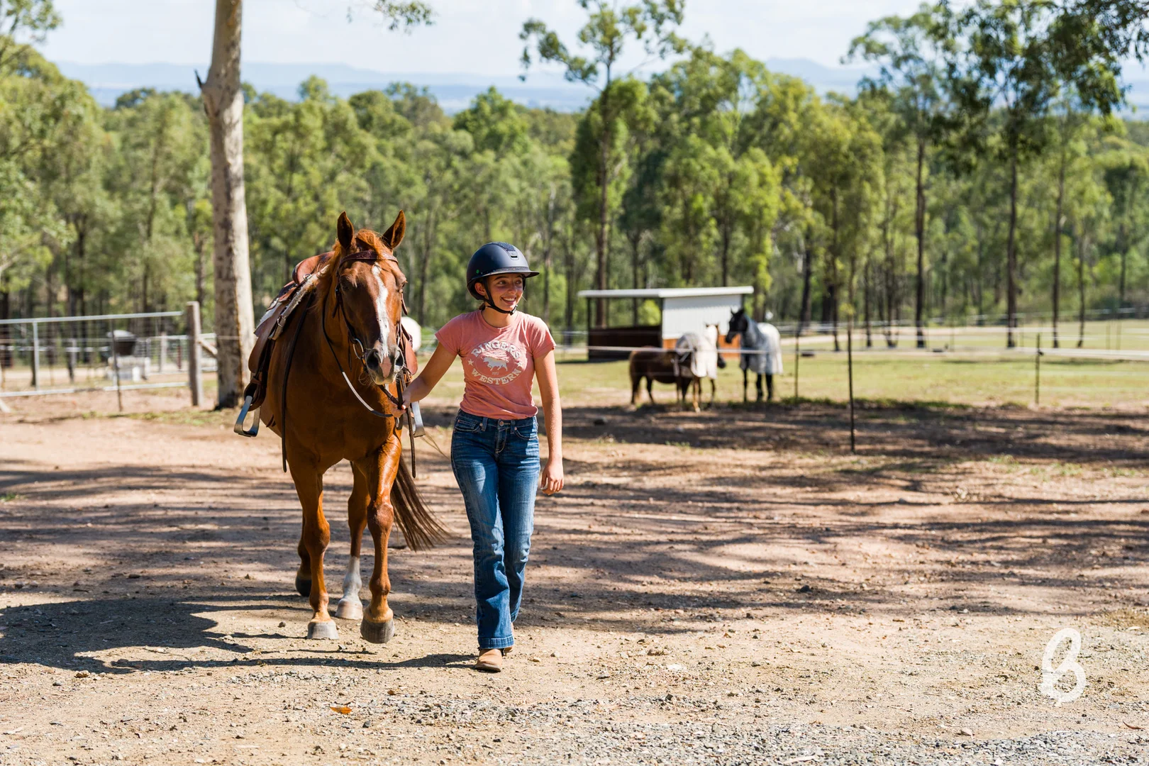 Additional image 11 of 241 Pioneer Road, Singleton NSW 2330