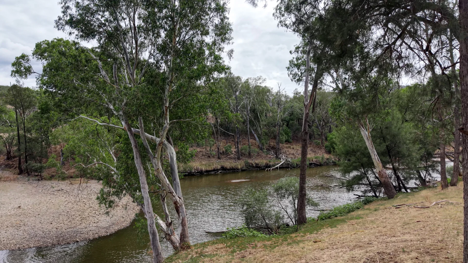 Additional image 14 of 1213 Mole River Road, Tenterfield NSW 2372