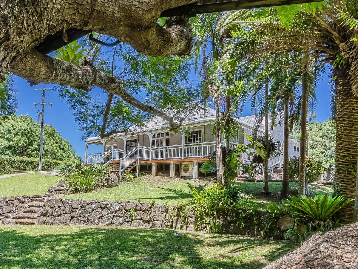 Additional image 32 of 837 Nobbys Creek Road, Nobbys Creek NSW 2484