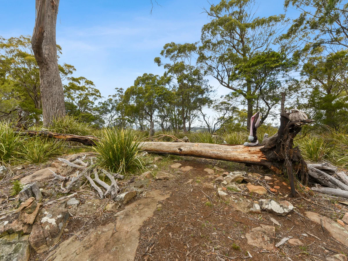 Additional image 41 of 259 Motor Road, Deviot TAS 7275