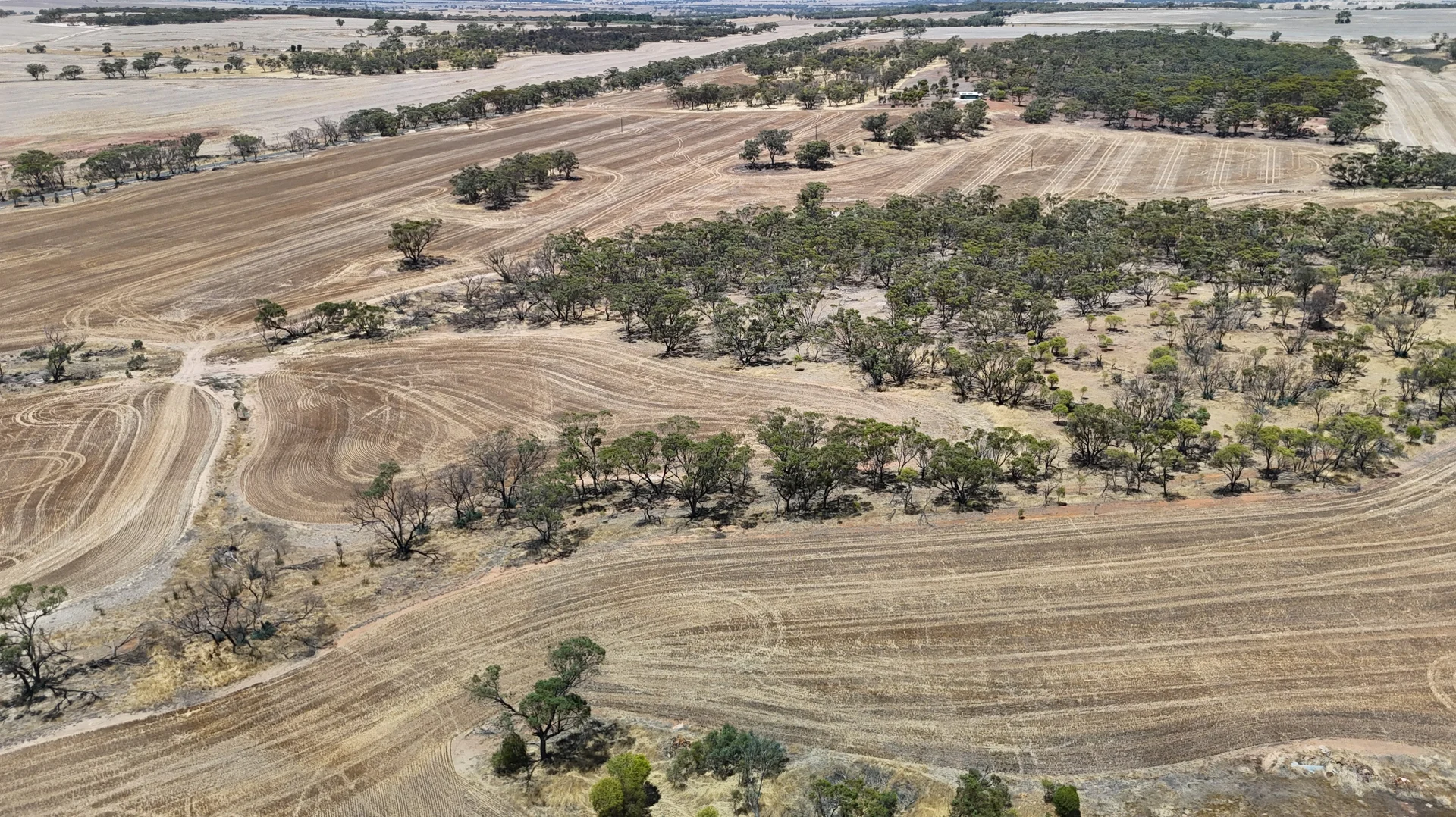 Additional image 15 of 8662 Cunderdin-Quairading Road, Youndegin WA 6407