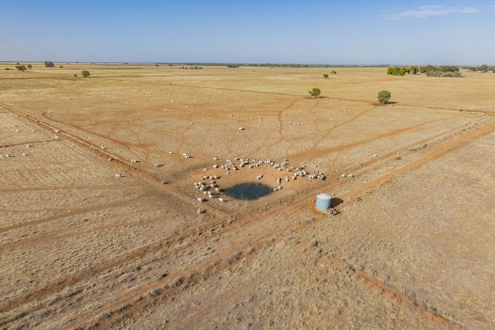 Additional image 7 of "Mayura" Johnson Road, Murrami NSW 2705