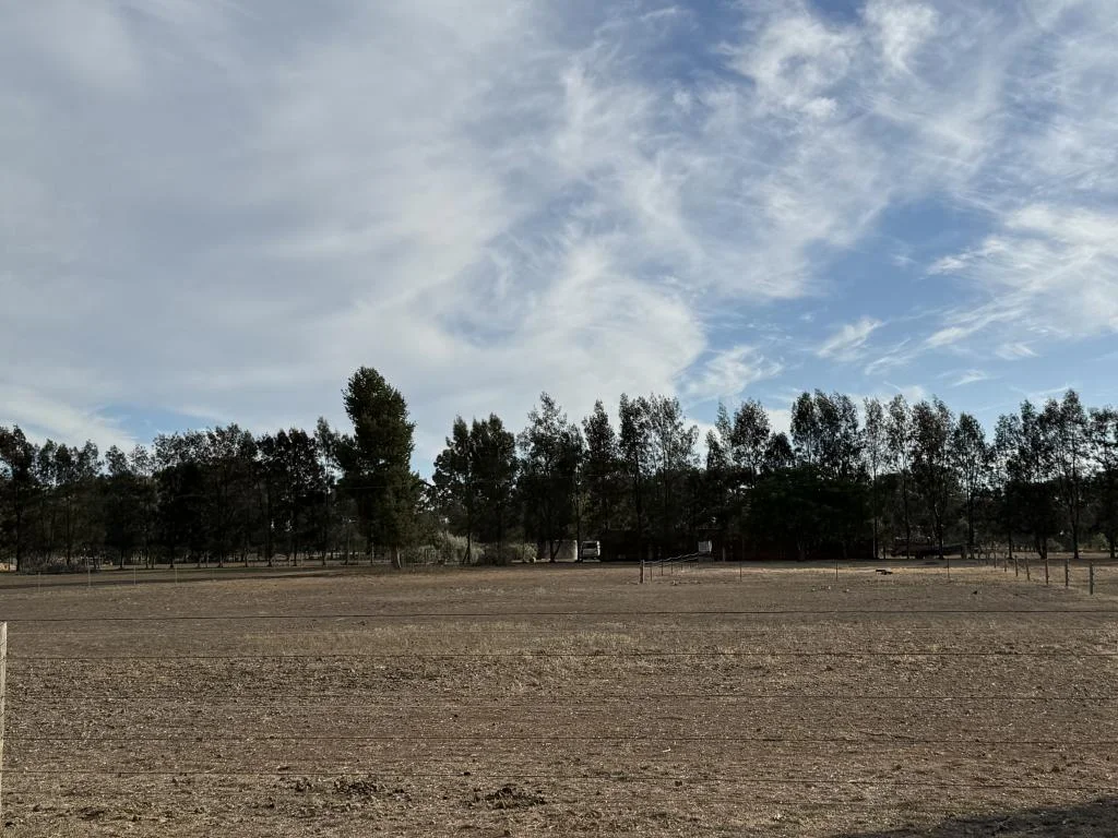 Additional image 4 of 70-78 Nangunia St, Berrigan NSW 2712