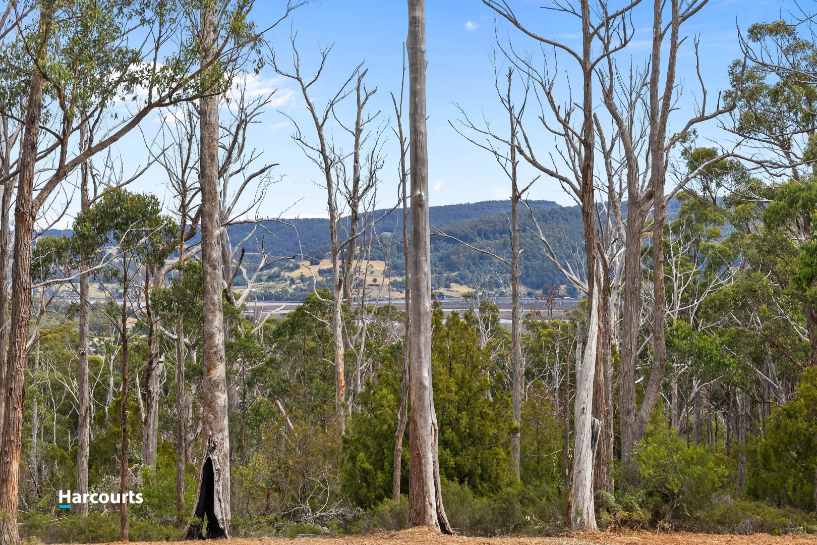 Additional image 21 of Lot 1 Slaters Road, Cradoc TAS 7109