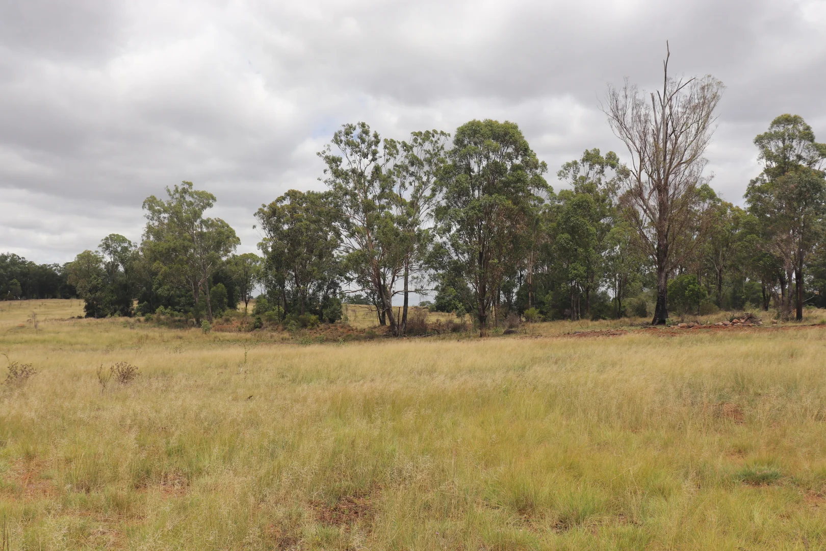 Additional image 11 of 225 Beils Road, Inverlaw QLD 4610