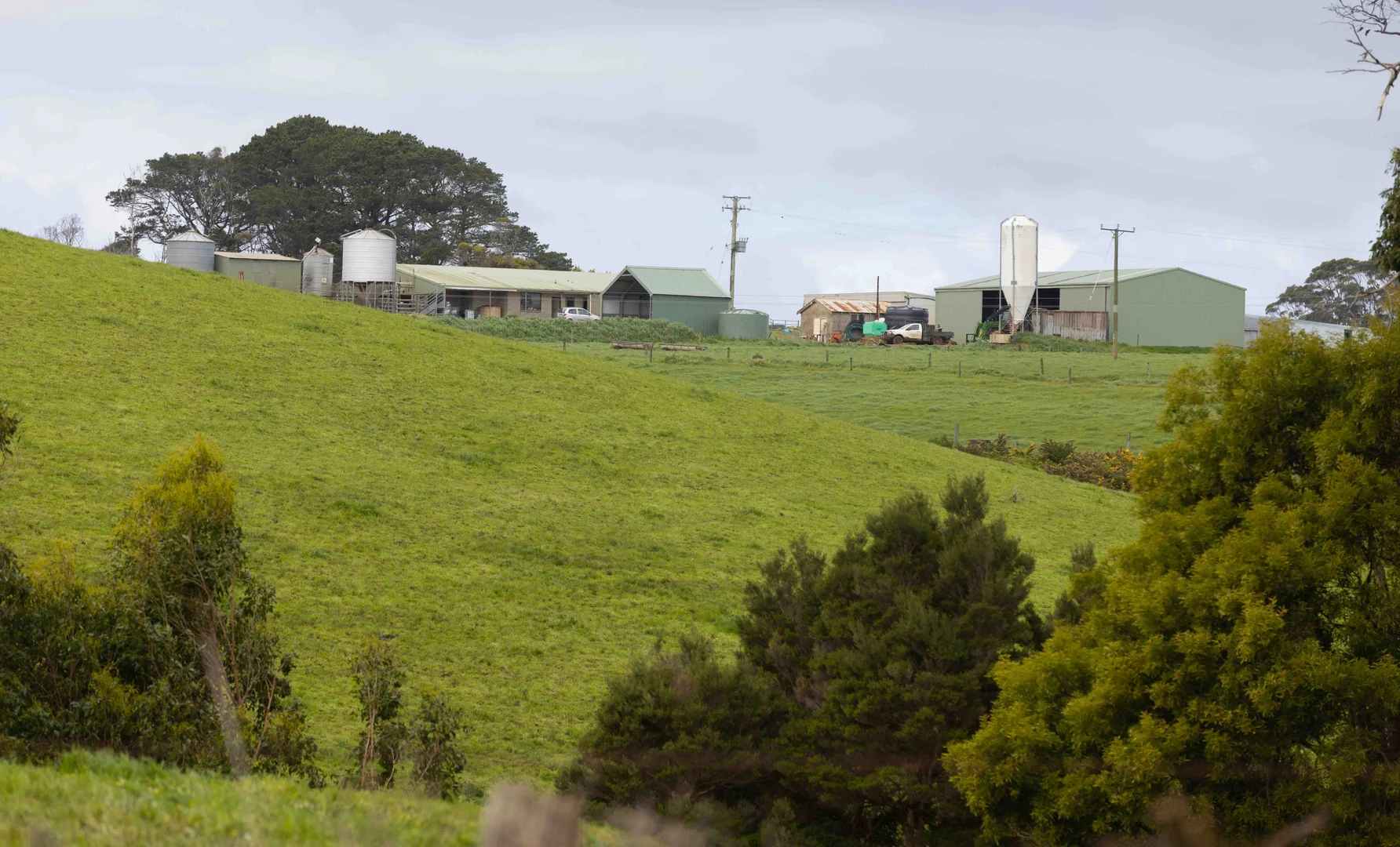 Additional image 6 of 99 Jocks Road, Forest TAS 7330