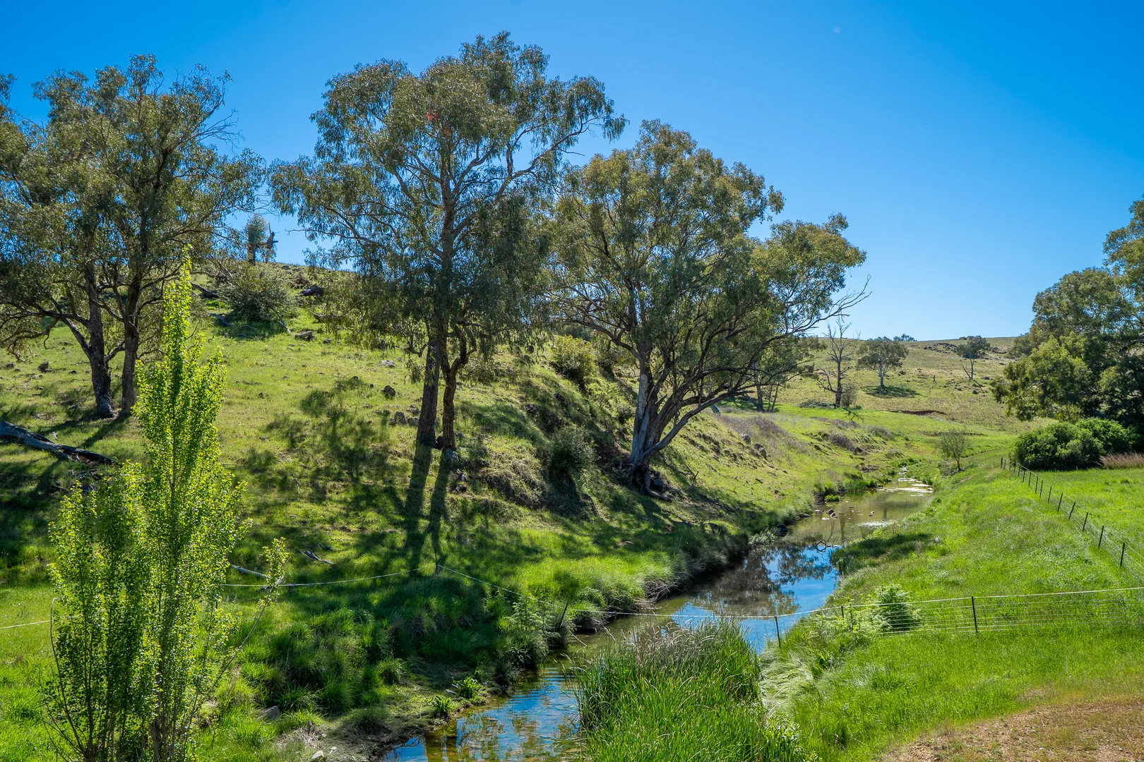 Additional image 14 of 1097 Davys Plains Road, Cudal NSW 2864