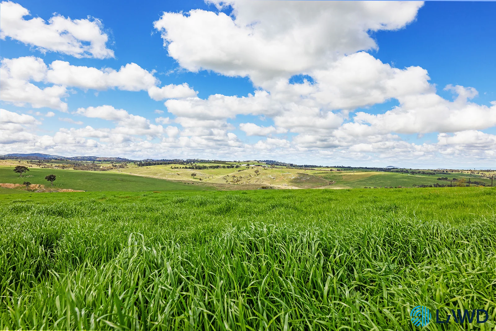 Additional image 8 of 1 Bimbiang Lane, Jeir NSW 2582