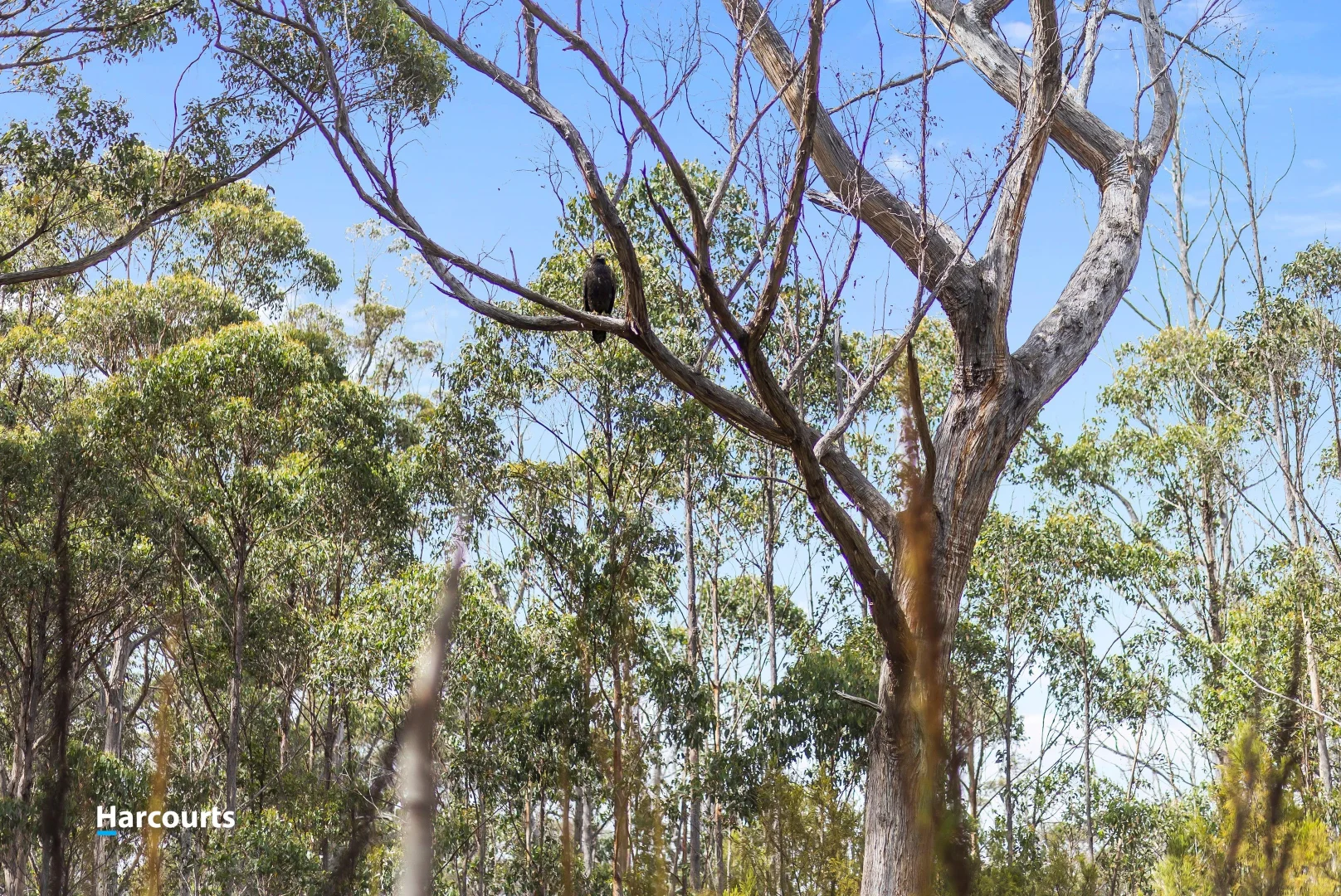 Additional image 8 of Lot 1 Slaters Road, Cradoc TAS 7109