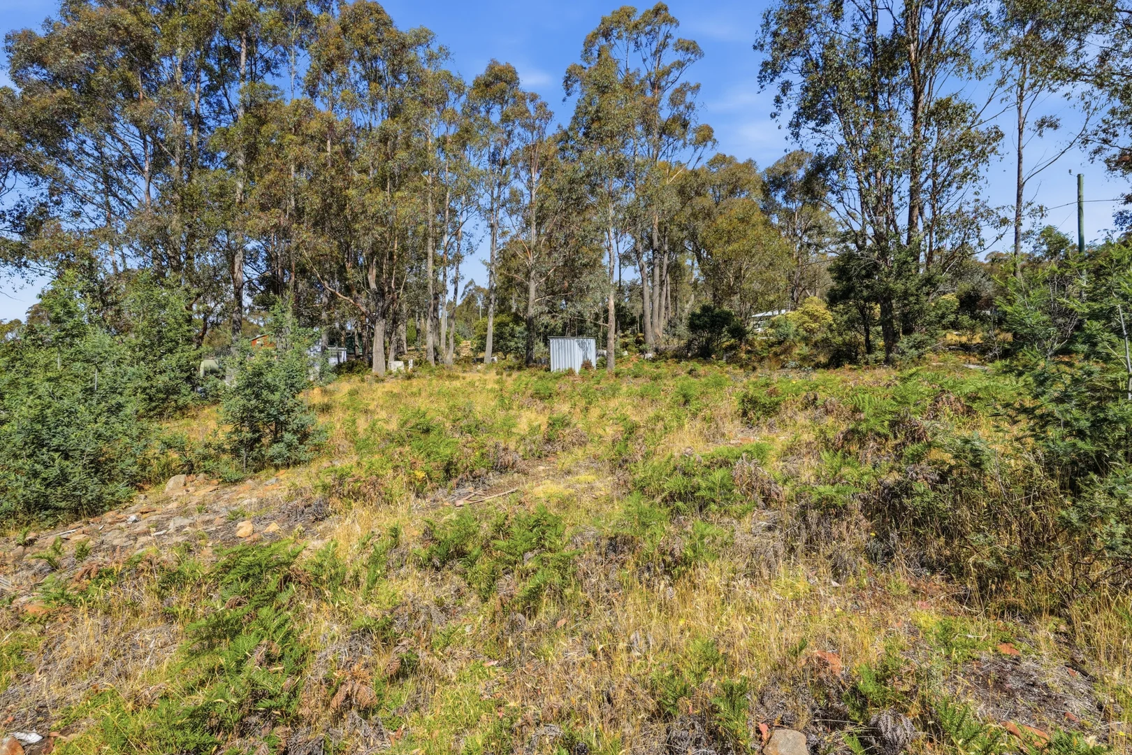 Additional image 4 of 49 Laycock Drive, Interlaken TAS 7030