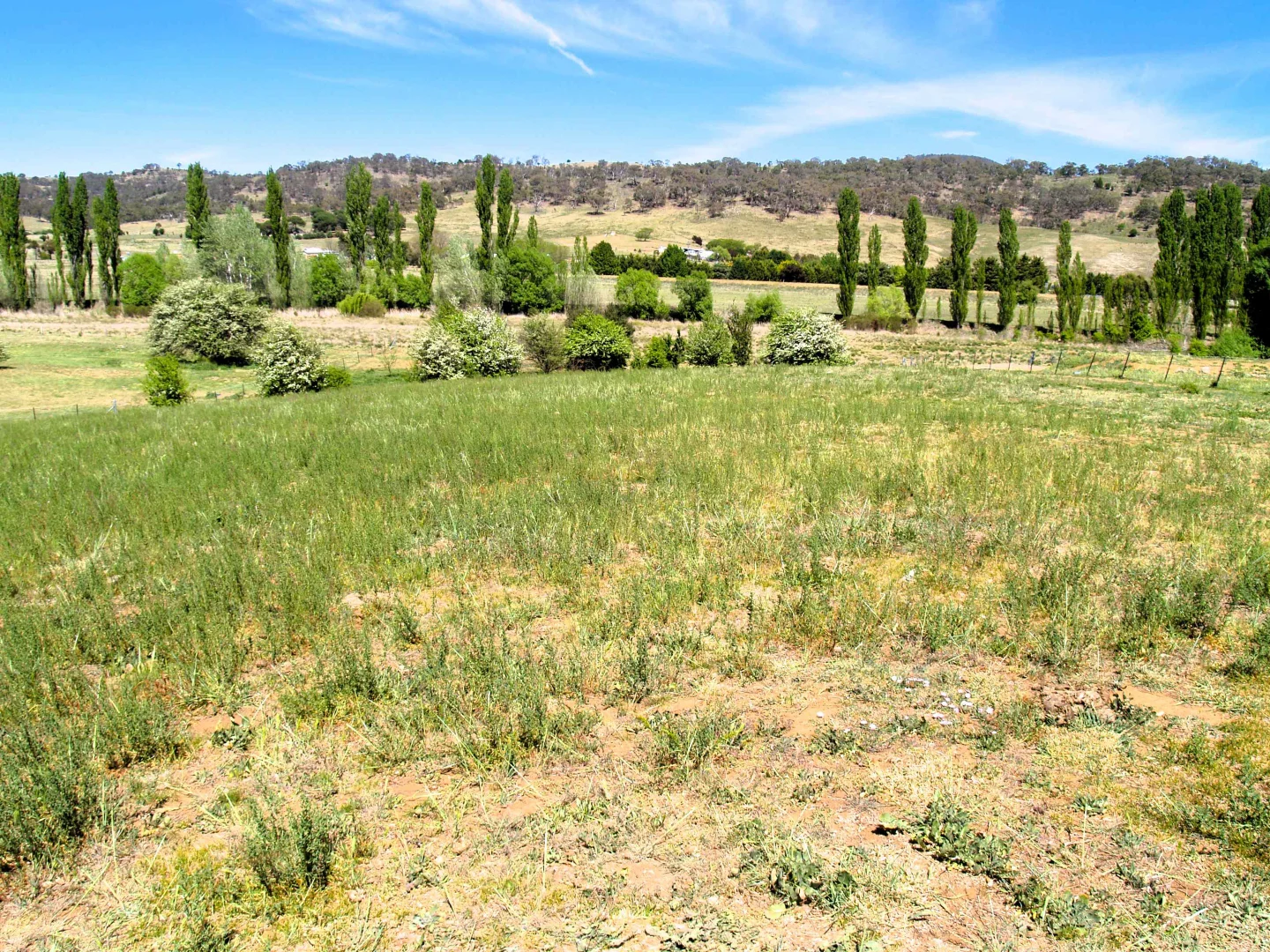 Additional image 7 of 28 Ryrie Street, Michelago NSW 2620