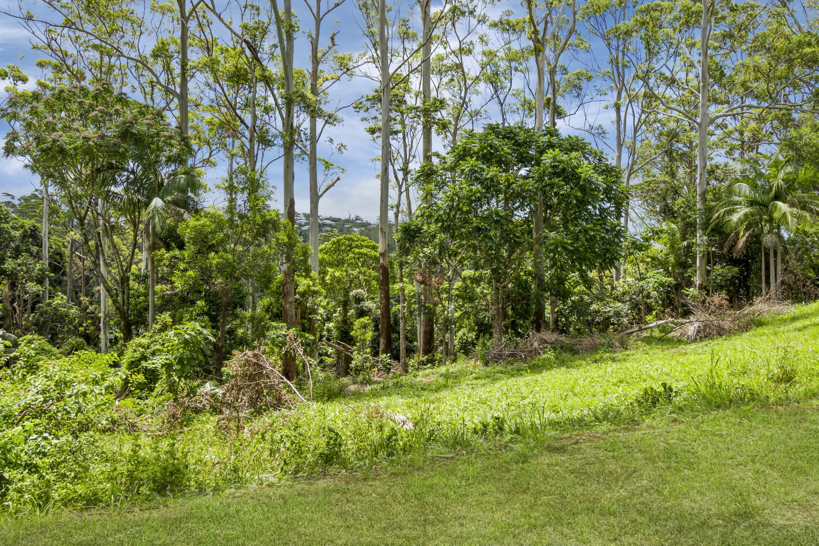 Additional image 3 of 15 - 17 Katoomba Crescent, Tamborine Mountain QLD 4272