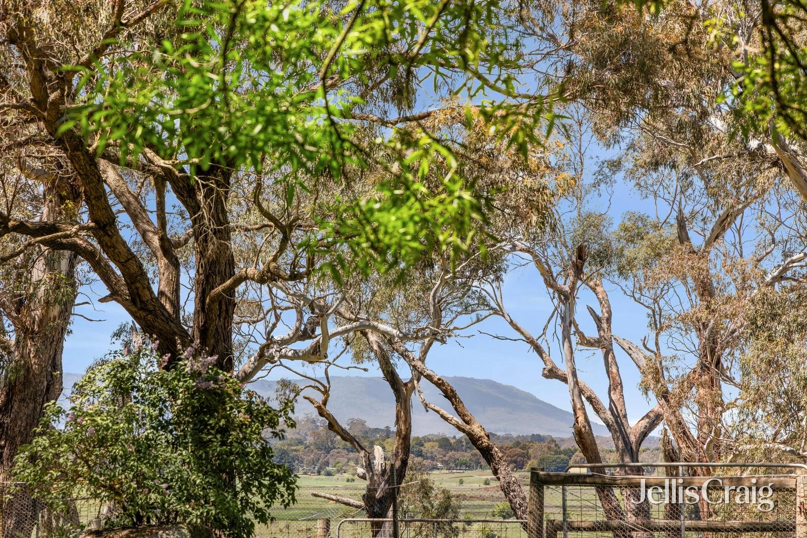 Additional image 4 of 223 Trio Road, Kyneton VIC 3444