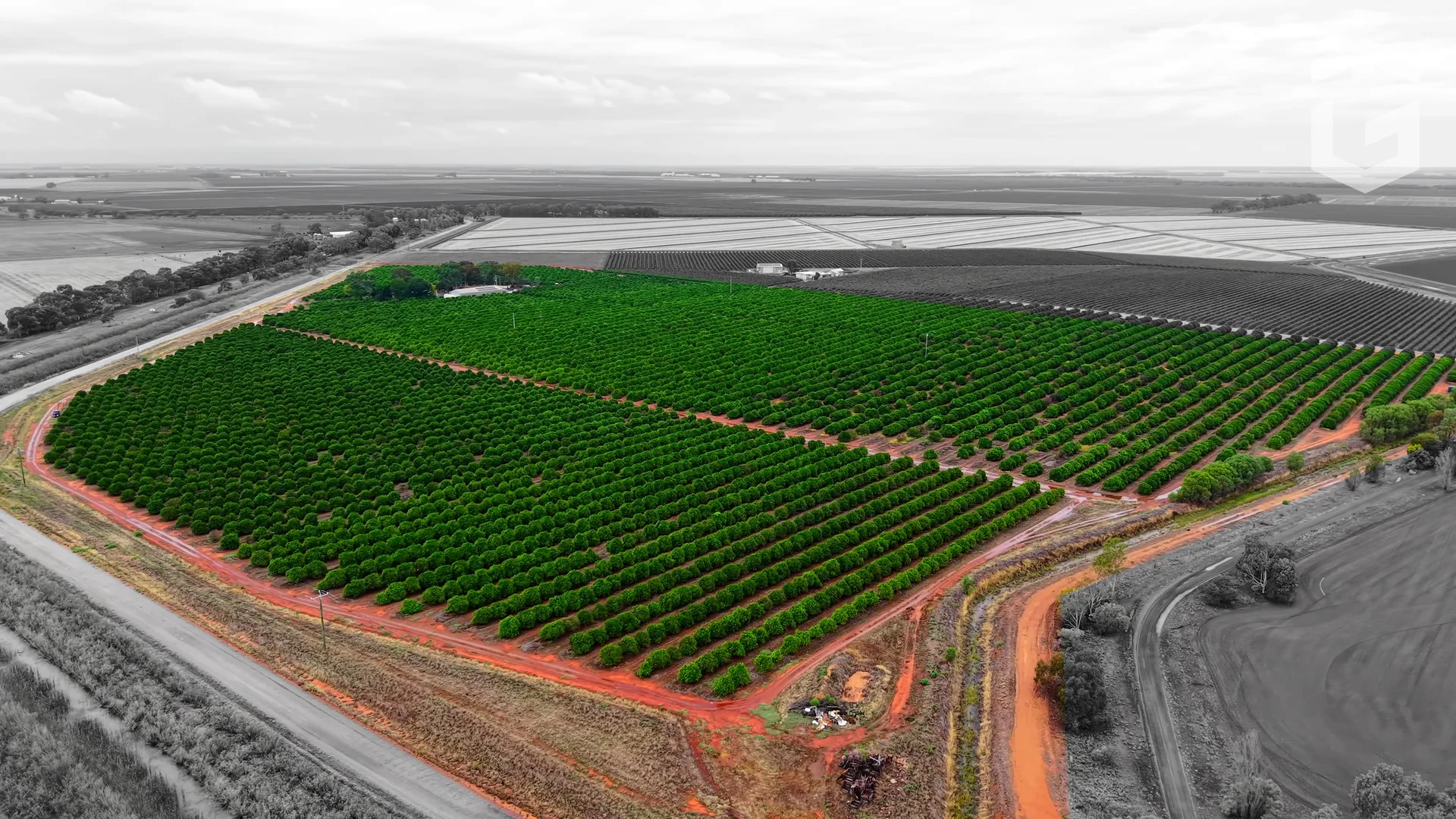 513 Orchard Road, Willbriggie NSW 2680