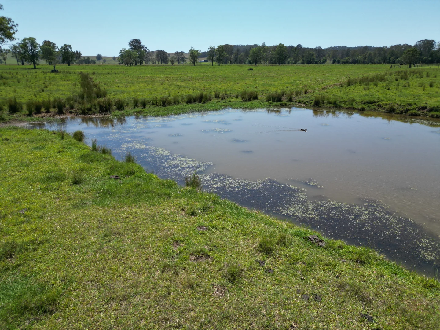 Additional image 5 of 140 Hogarth Range Road, Mongogarie NSW 2470