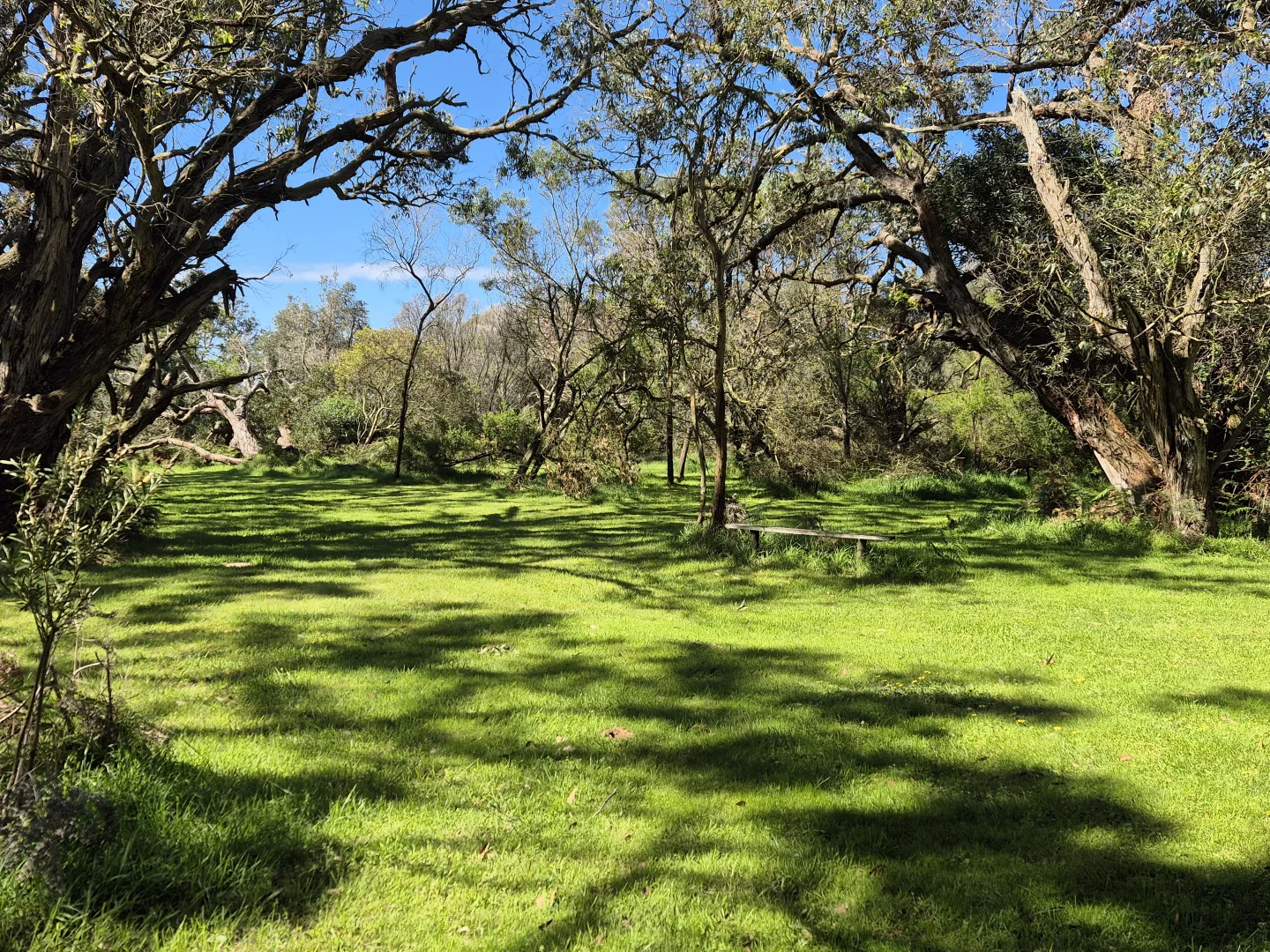 Additional image 12 of 417 McBurnie and Boags Road, Tarwin Lower VIC 3956