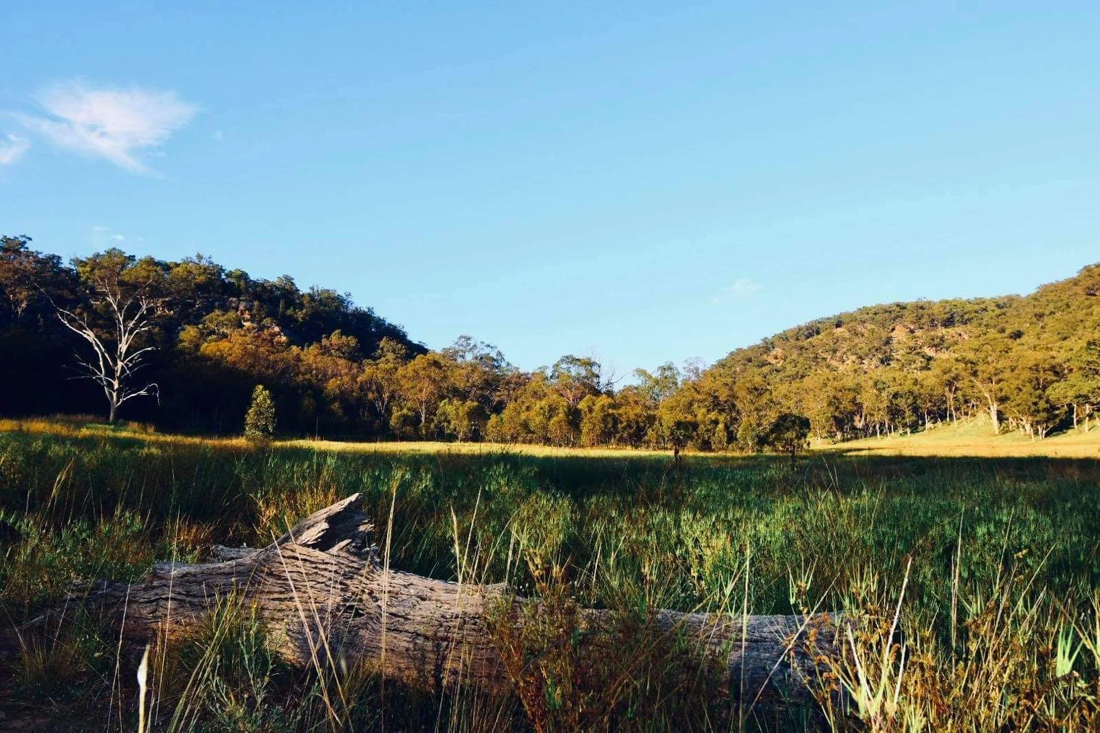 Additional image 10 of Lot 18 Hulks Road, Merriwa NSW 2329