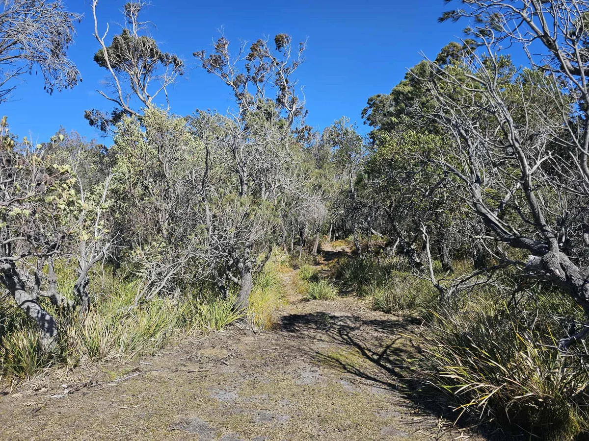 Additional image 7 of 1434 Coles Bay Road, Coles Bay TAS 7215