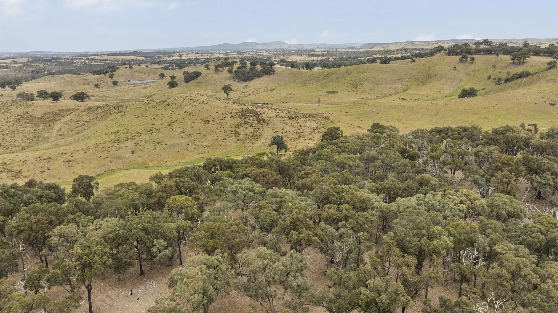 Additional image 4 of 600 Seymour-Pyalong Road, Hilldene VIC 3660