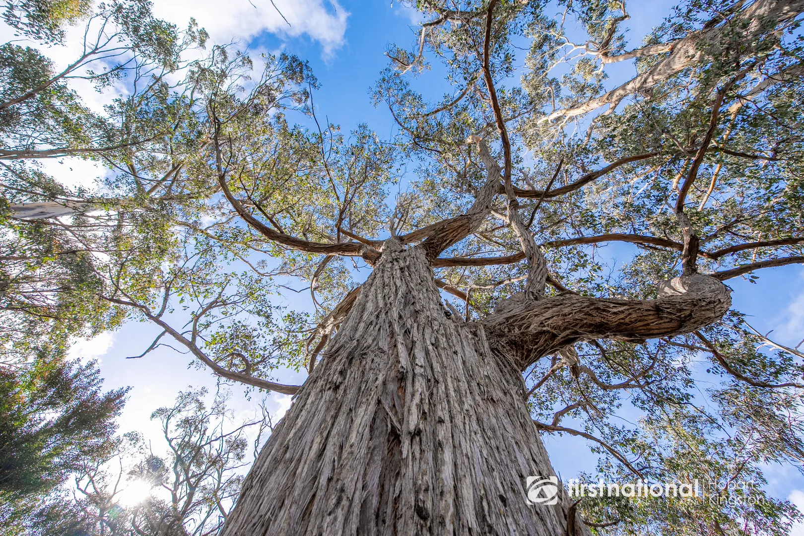 Additional image 21 of Krauses Road, Lower Longley TAS 7109