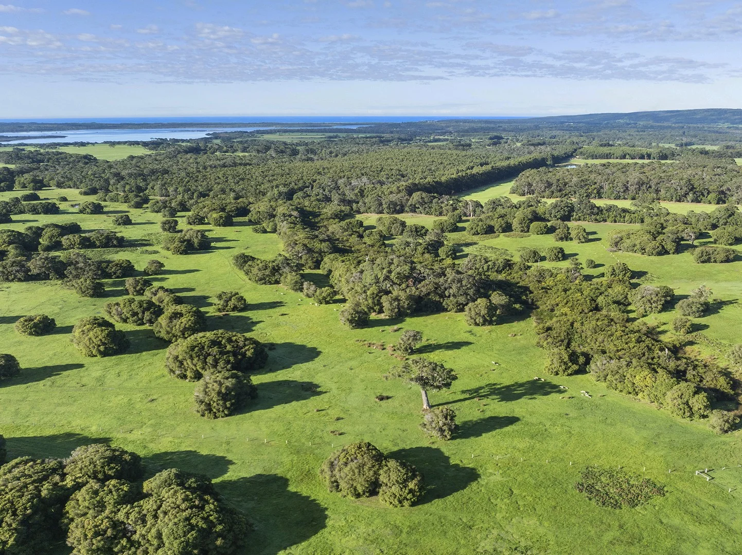 Additional image 7 of Stage 1B Blackwood Grove, Kudardup WA 6290