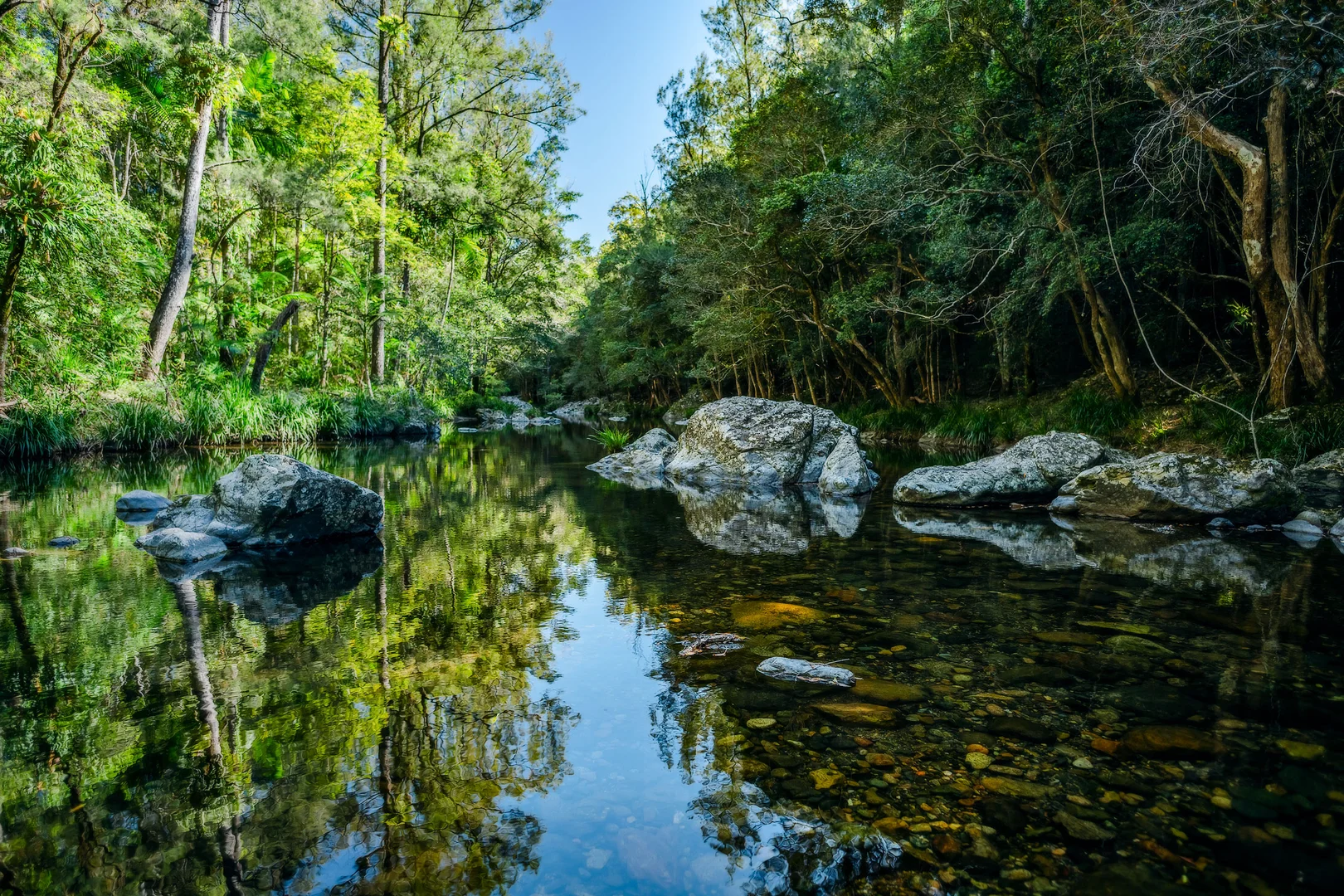 Additional image 34 of 816 Summervilles Road, Bellingen NSW 2454