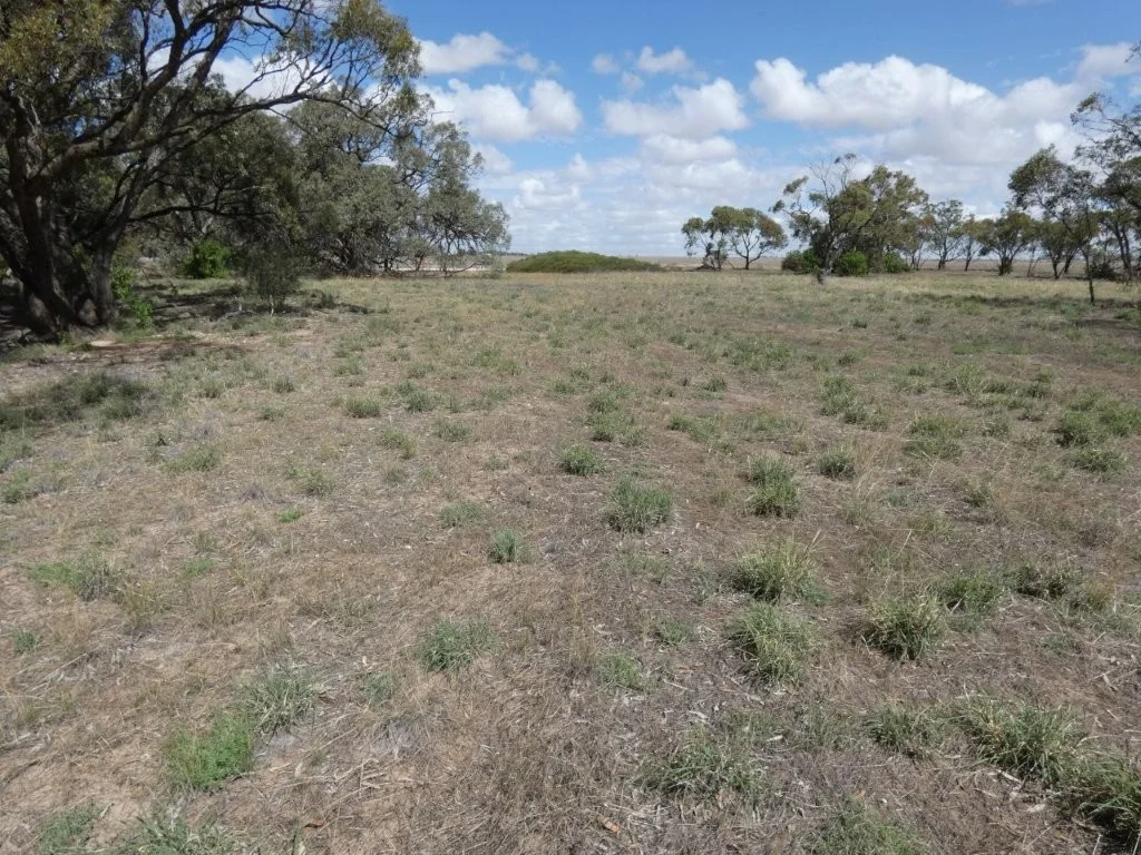 Additional image 7 of 1993 Henty Hwy, Brim VIC 3391