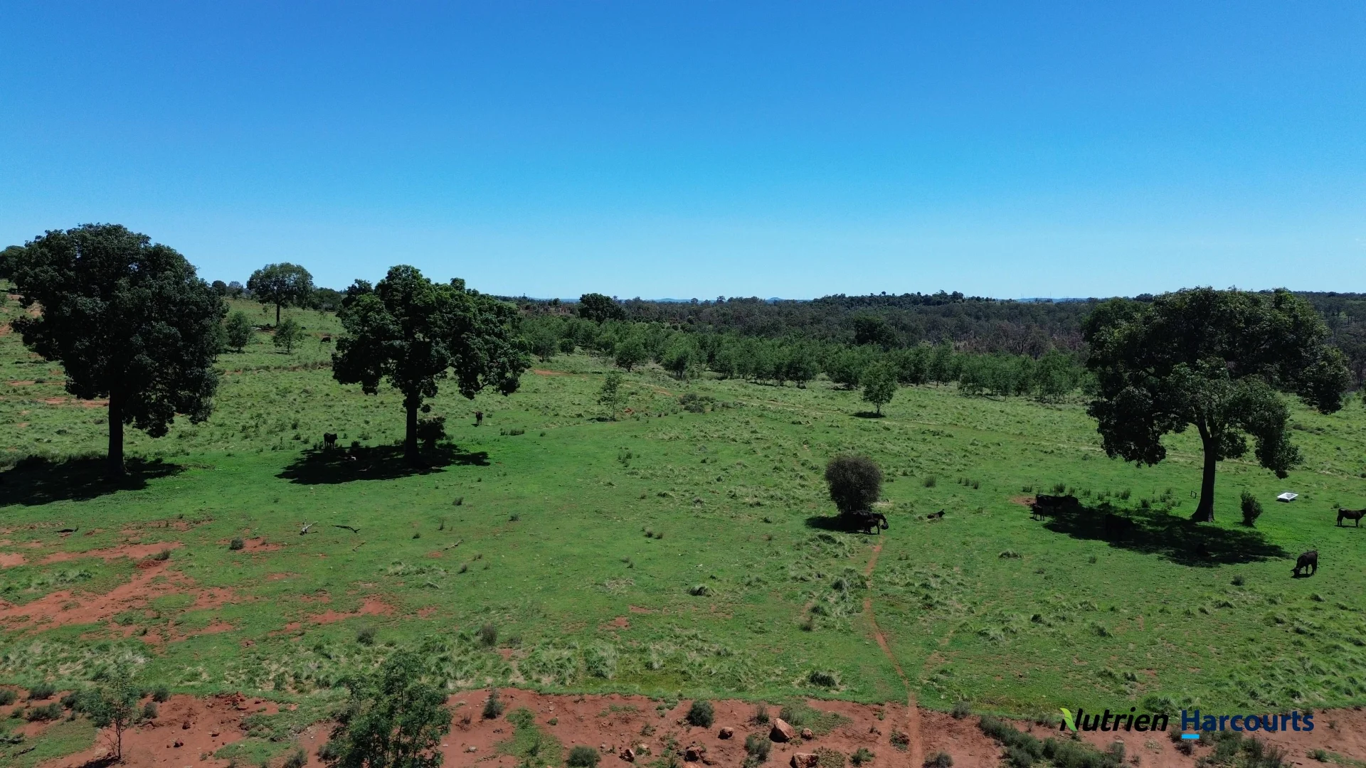 Additional image 23 of 960 Dangore Mountain Road, Dangore QLD 4610