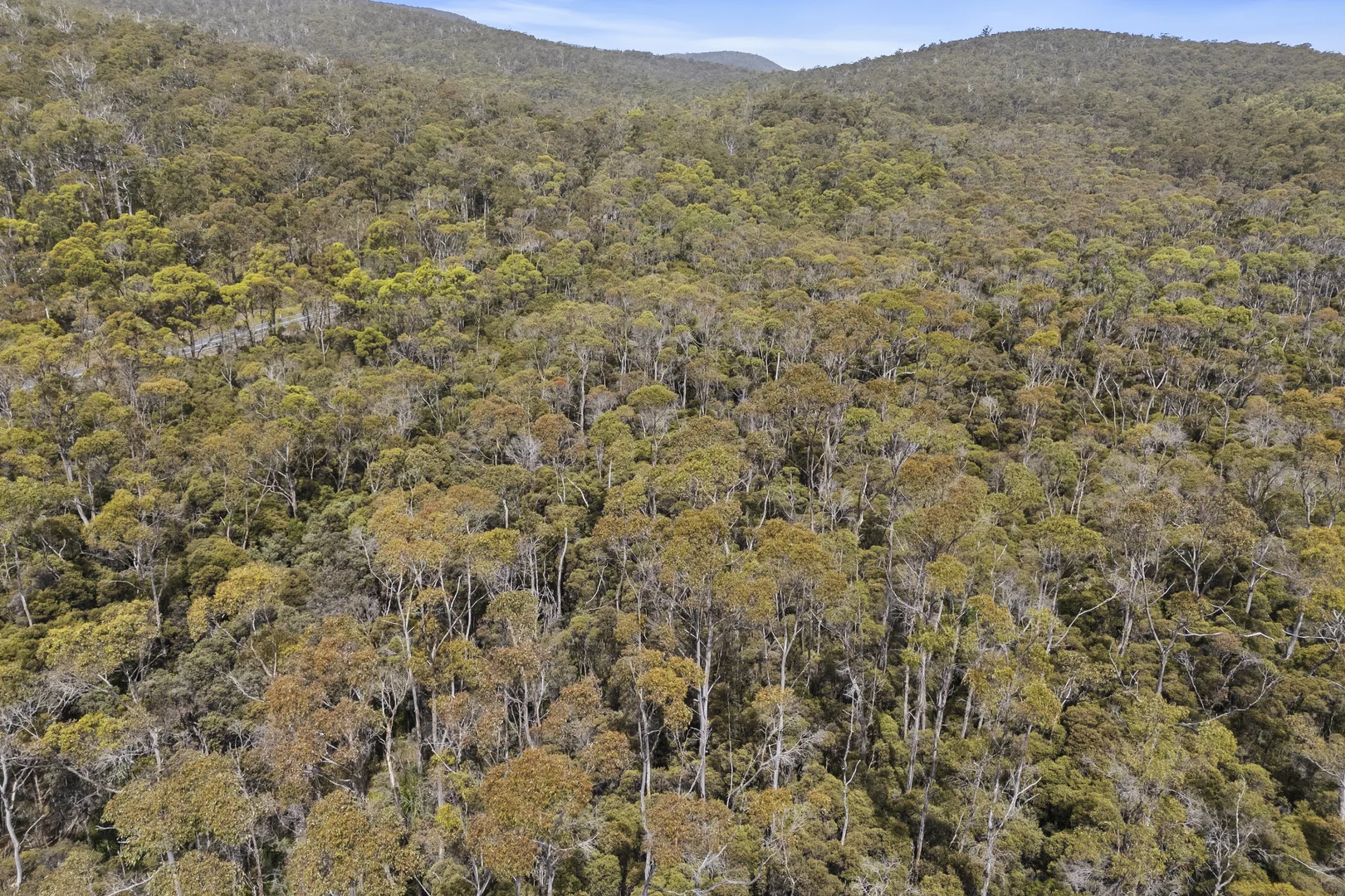 Additional image 10 of 6184 Arthur Highway, Taranna TAS 7180