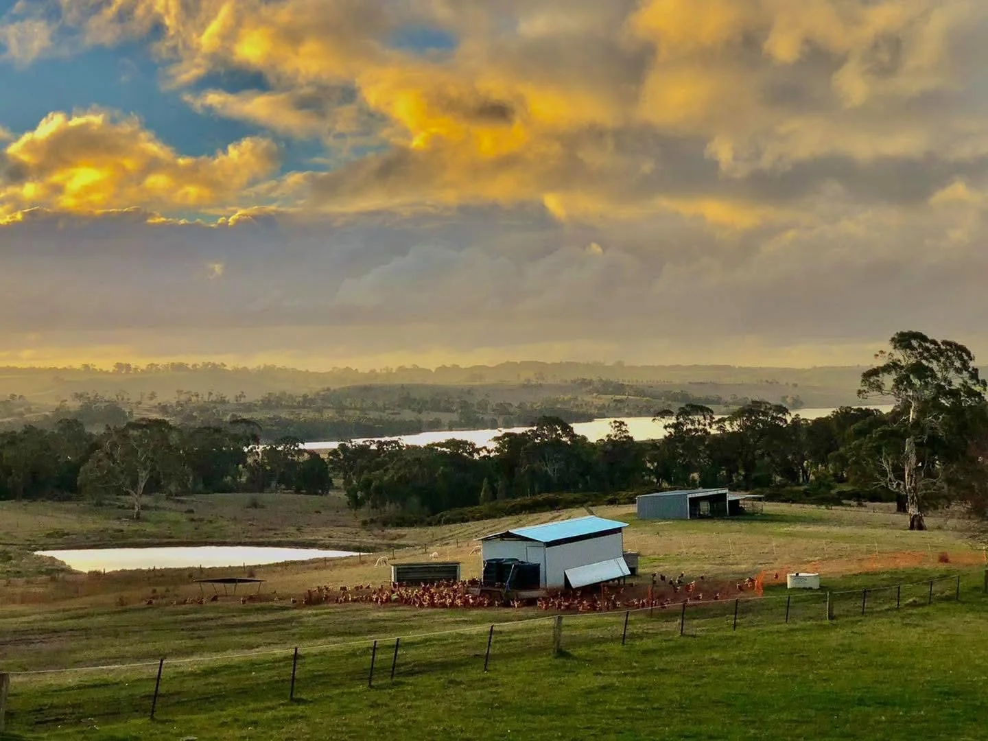 Additional image 15 of 1053 Trentham Road, Tylden VIC 3444