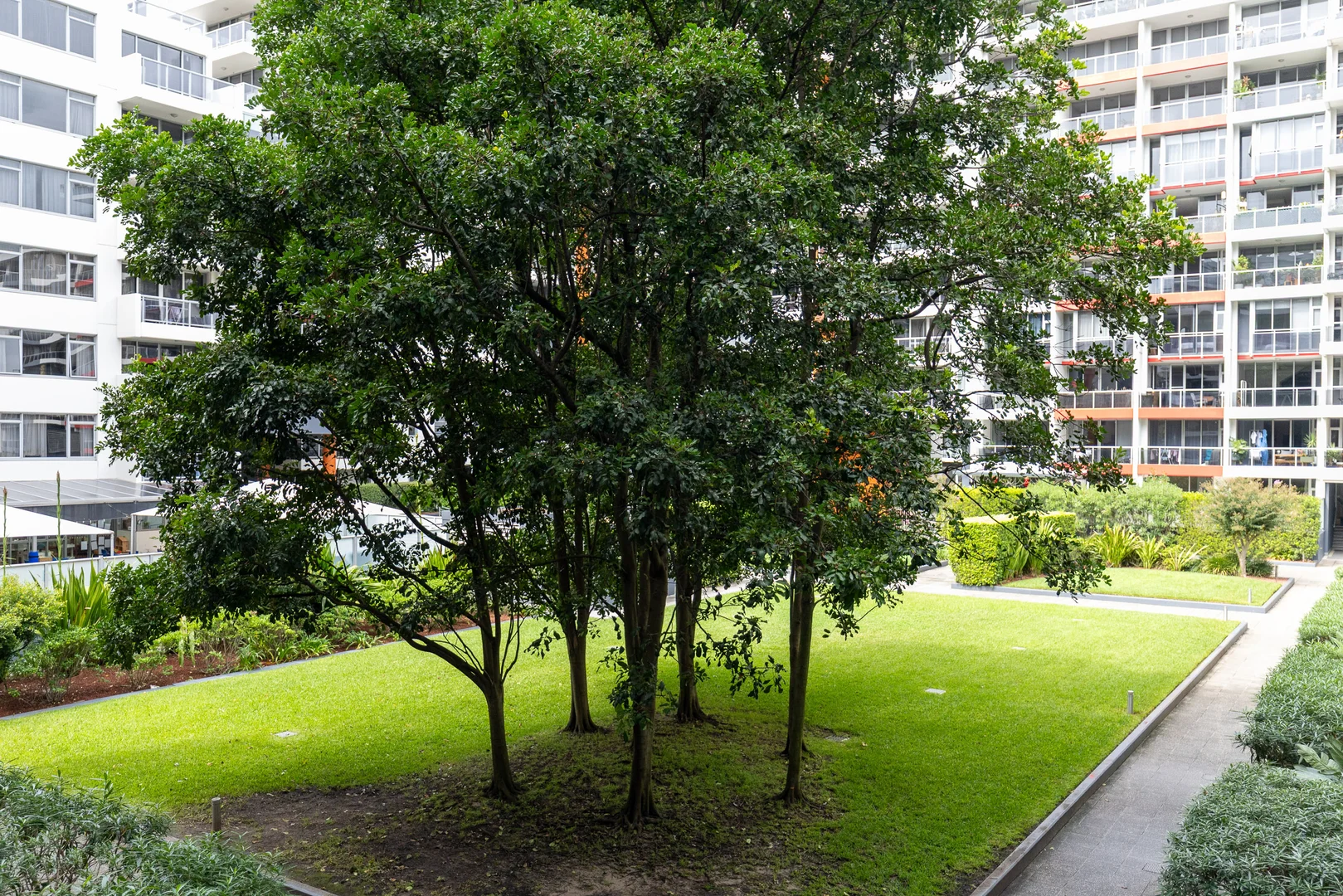 Additional image 16 of 315/5 Potter Street, Waterloo NSW 2017