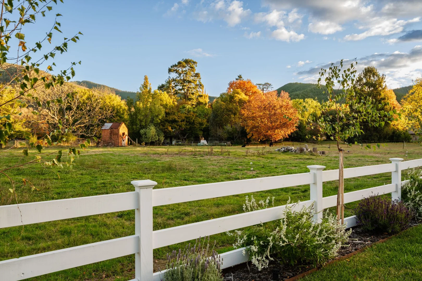 Additional image 36 of 12 Cavalli Place, Bright VIC 3741