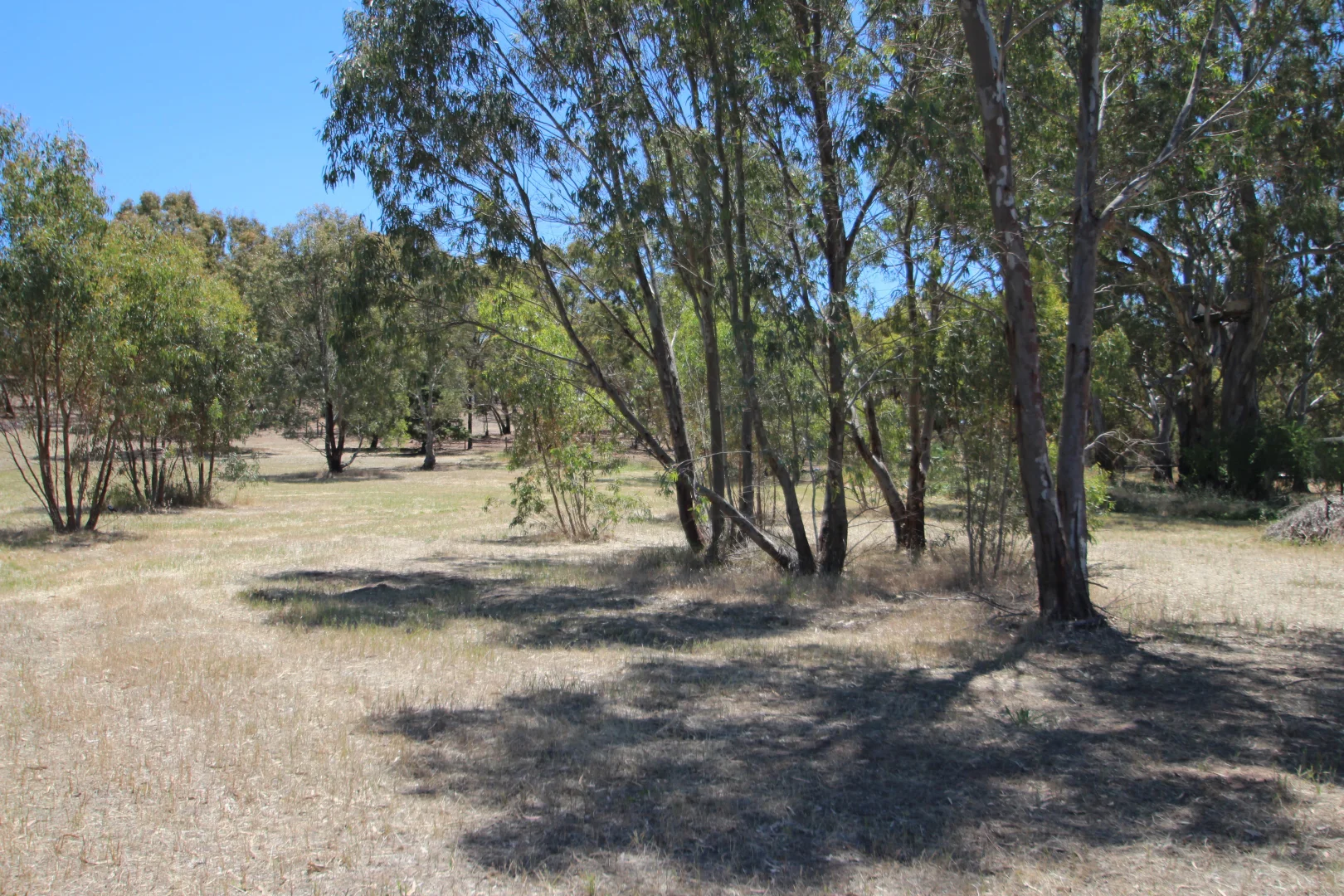 Additional image 14 of Lt 119/120 St Georges Terrace, Armagh SA 5453