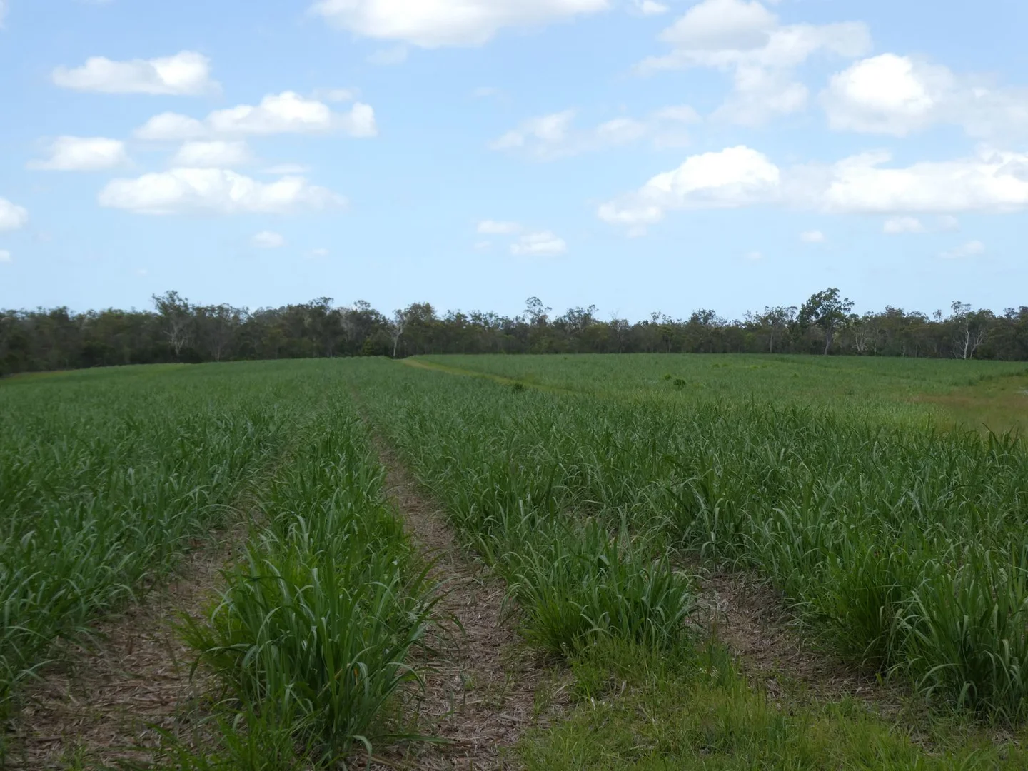 Additional image 20 of 3392 Childers Road, Gregory River QLD 4660