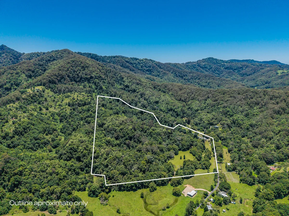 Additional image 31 of 837 Nobbys Creek Road, Nobbys Creek NSW 2484